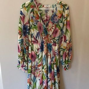 Brigette Bailey Maxi  Dress